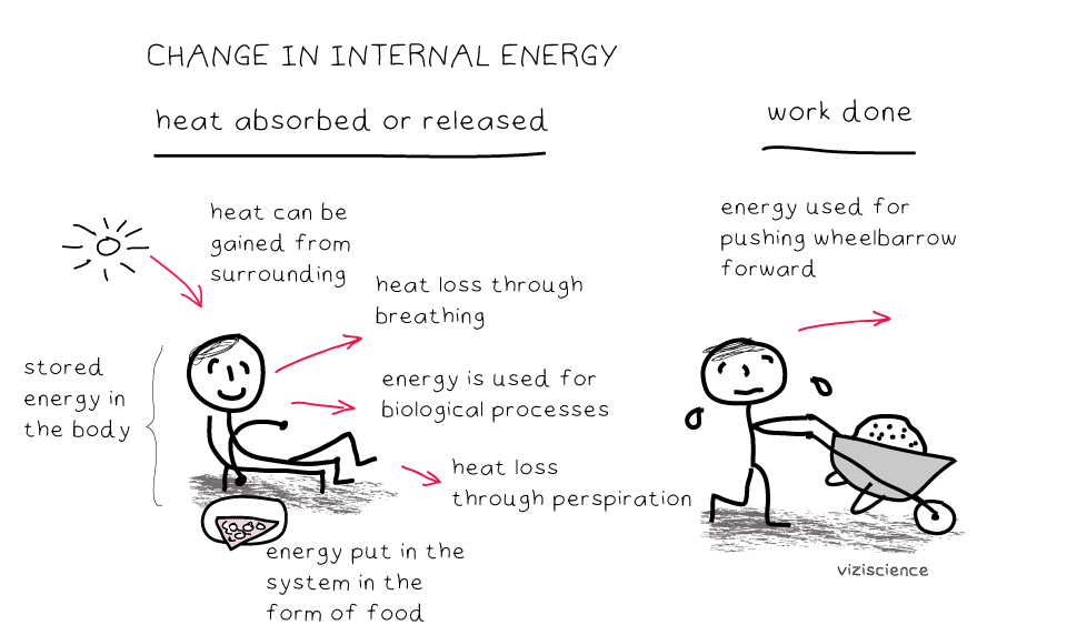 What Is Enthalpy Change? - VIZISCIENCE® INTERACTIVE LABS